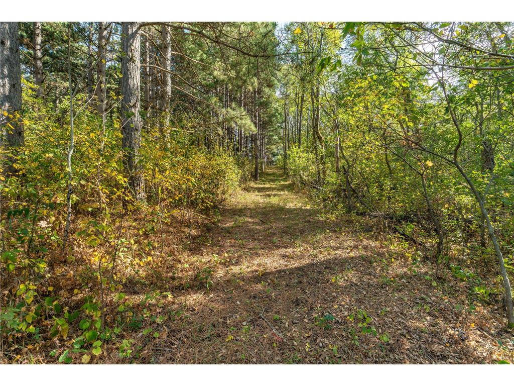 22939 510th Avenue Henning Twp MN 56551 7075318 image92