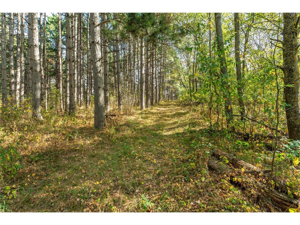 22939 510th Avenue Henning Twp MN 56551 7075318 image93