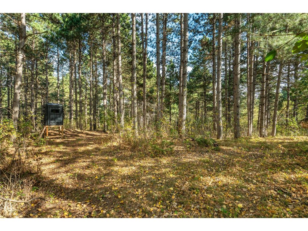 22939 510th Avenue Henning Twp MN 56551 7075318 image94