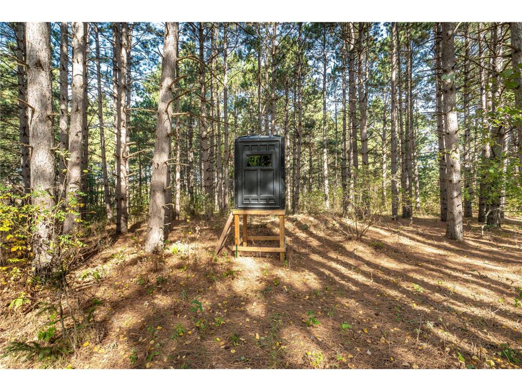 22939 510th Avenue Henning Twp MN 56551 7075318 image95