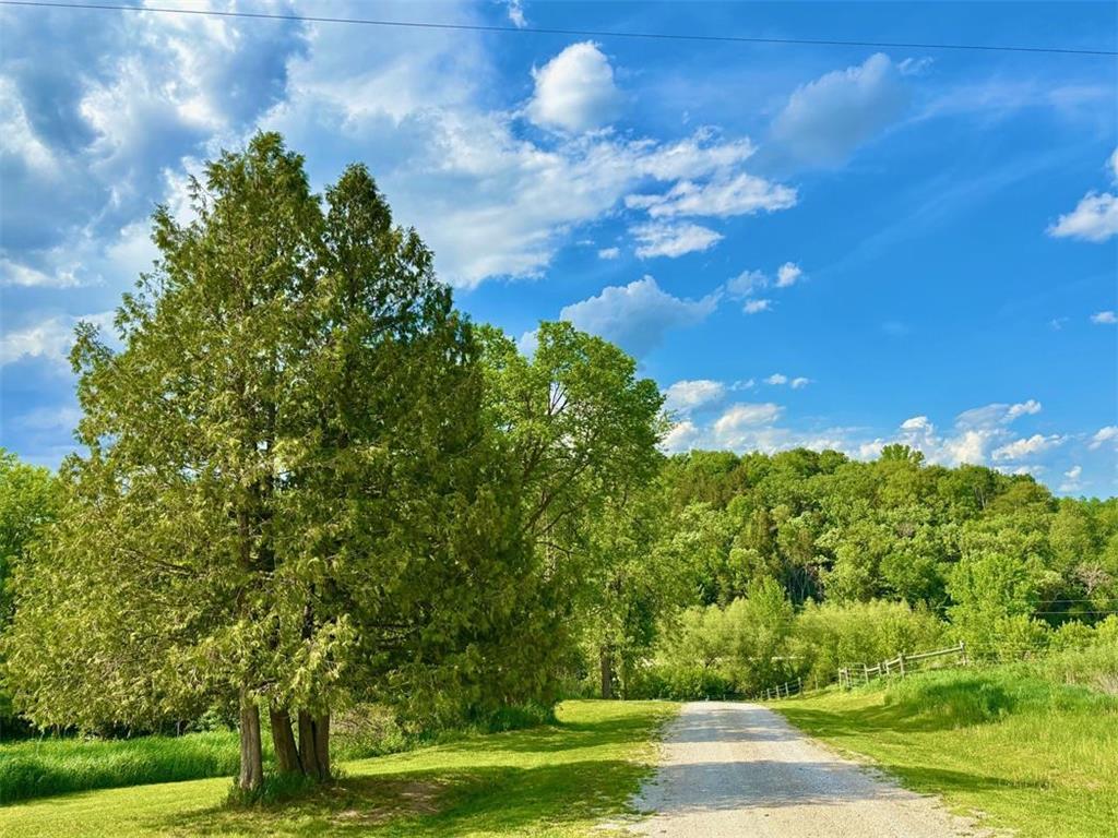 22966 Grosbeak Road Carrolton Twp MN 55949 7084097 image20