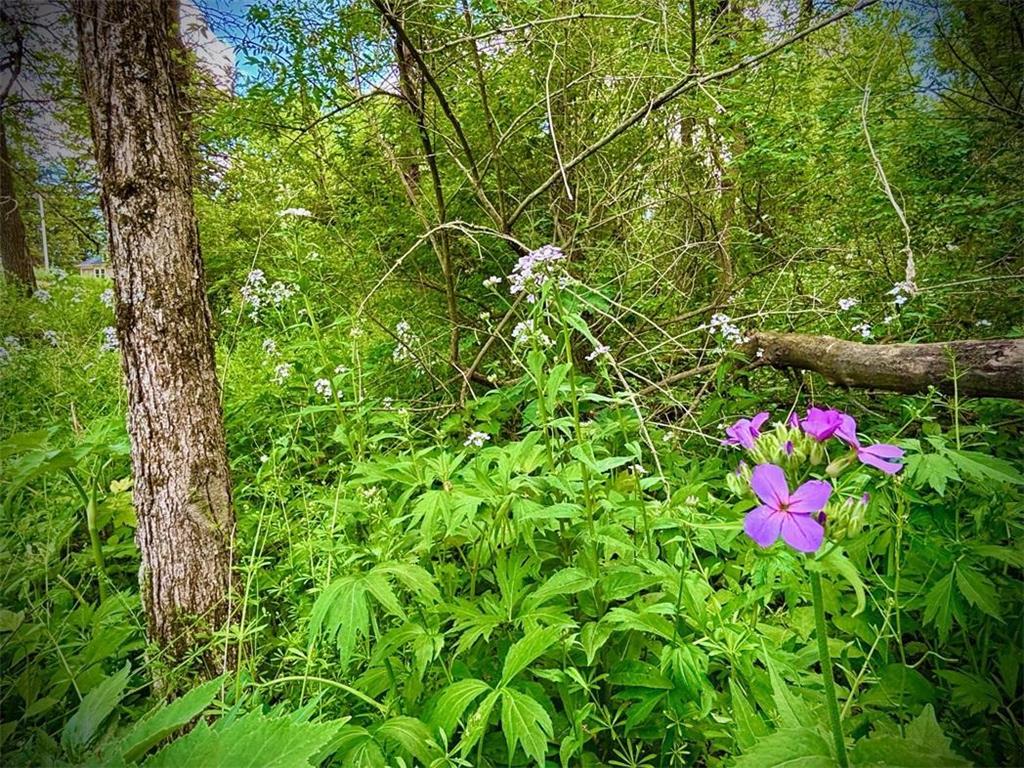 22966 Grosbeak Road Carrolton Twp MN 55949 7084097 image29
