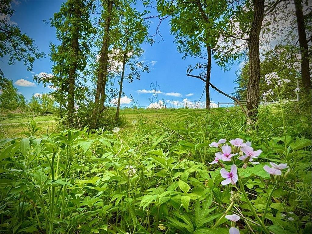 22966 Grosbeak Road Carrolton Twp MN 55949 7084097 image31