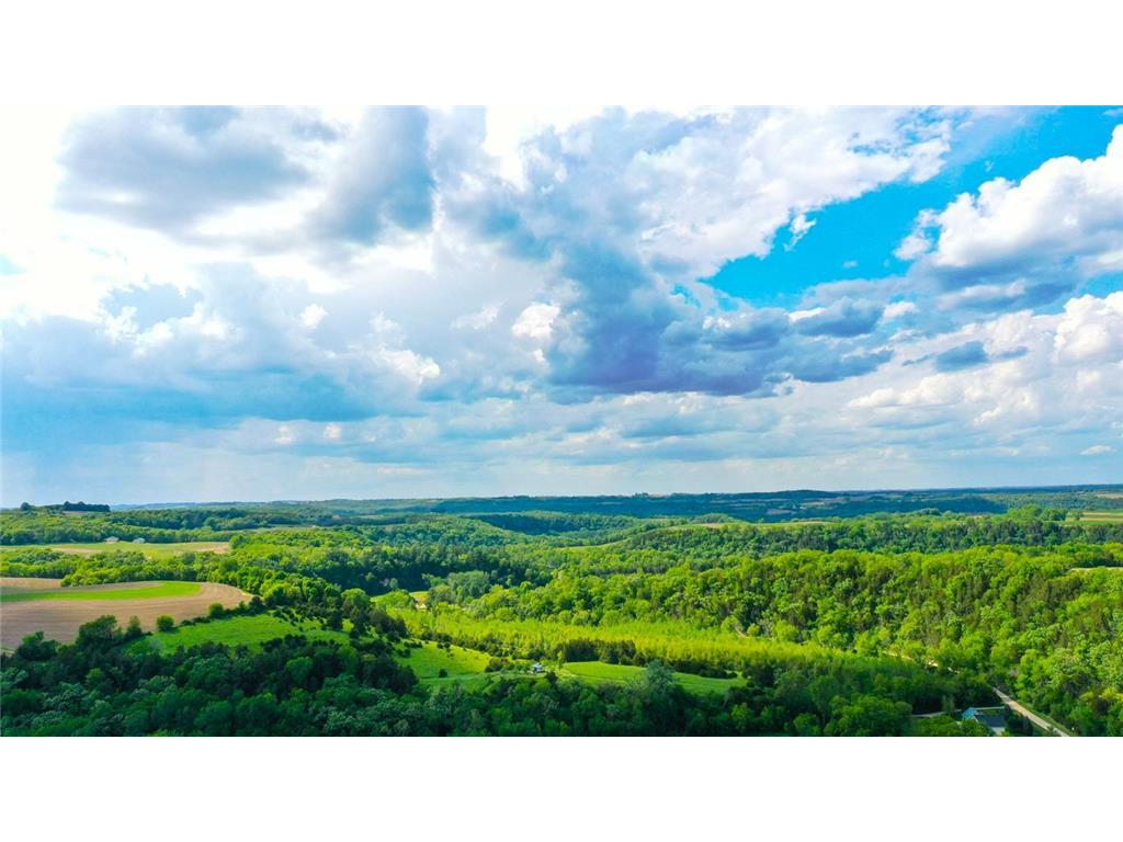 22966 Grosbeak Road Carrolton Twp MN 55949 7084097 image9