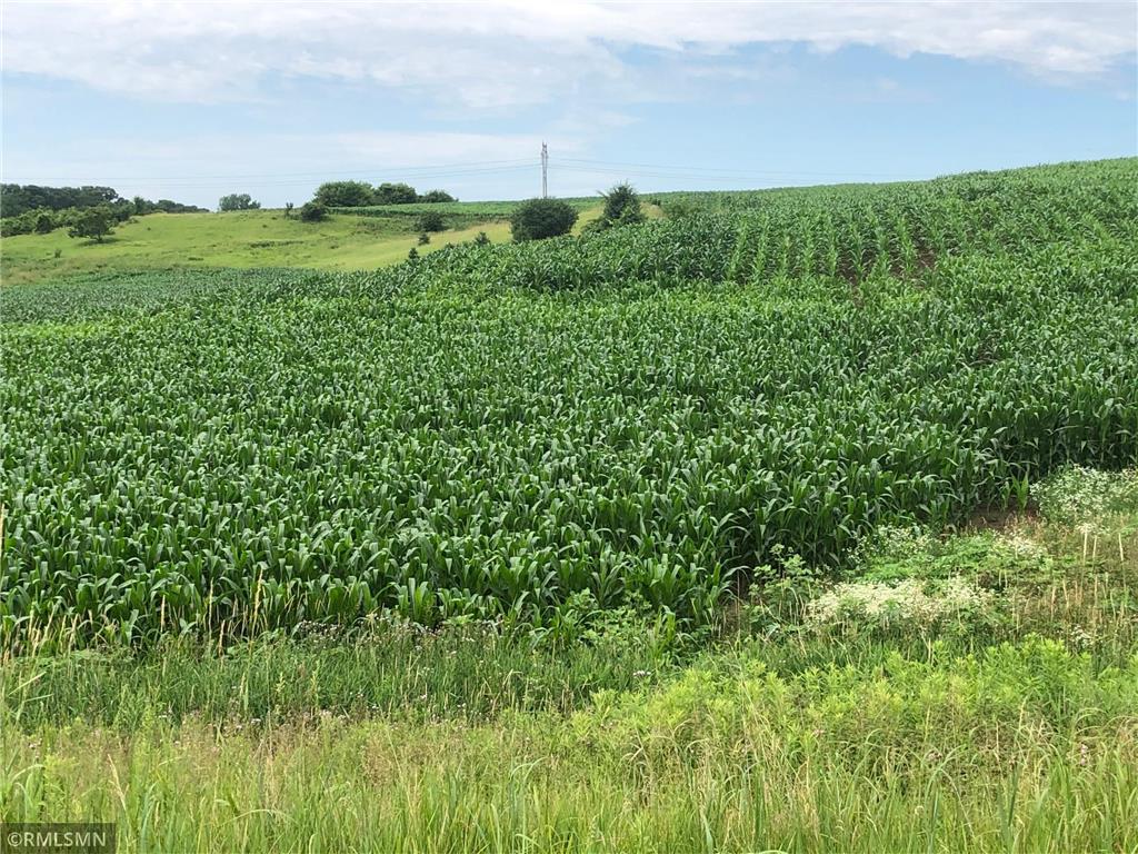 2298 Inwood Avenue N Lake Elmo MN 55042 6705389 image1