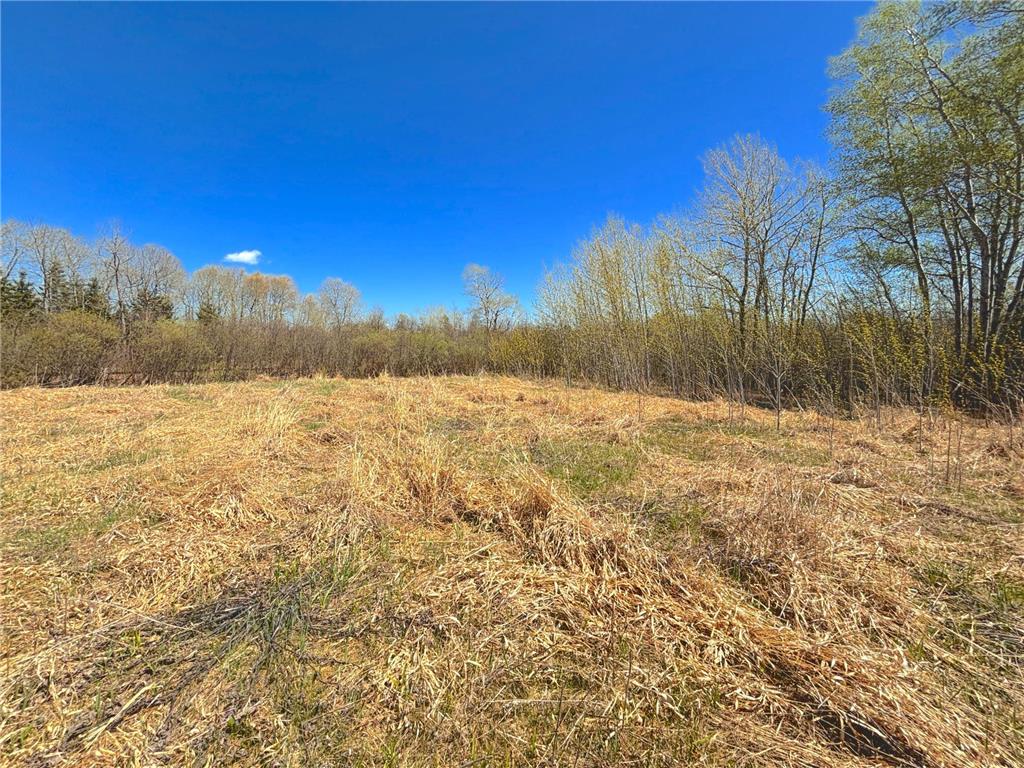 22XX Bardon Avenue Superior WI 54880 7075621 image4