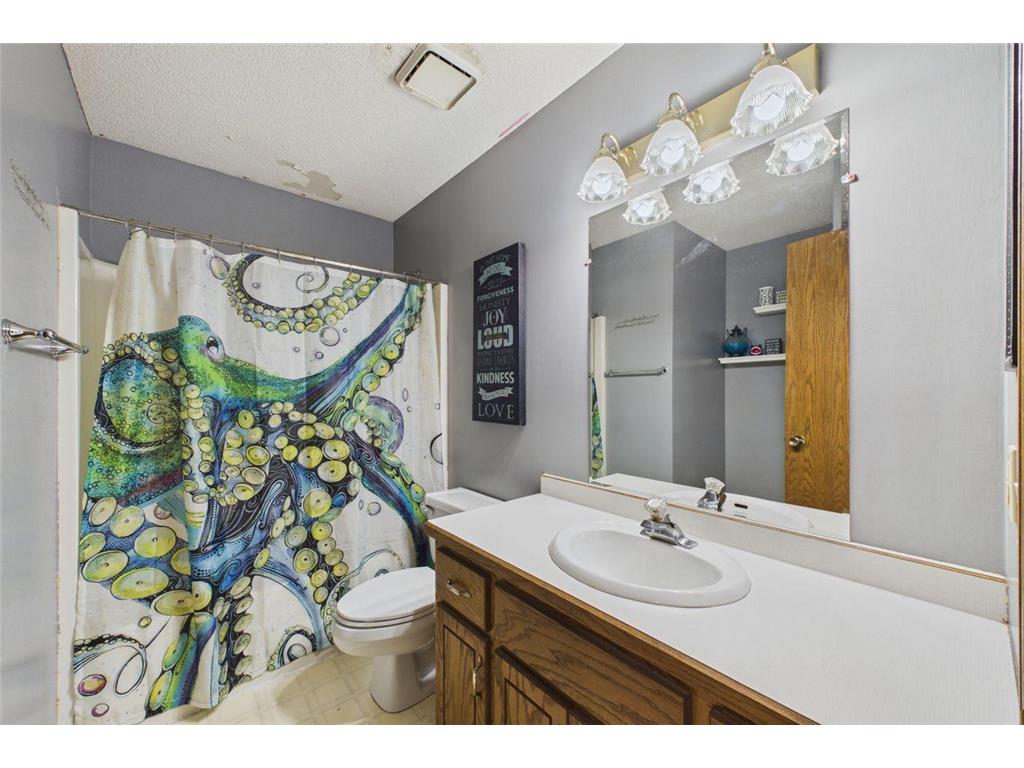 230 Mahtomedi Avenue Mahtomedi MN 55115 - White Bear 7110669 image7