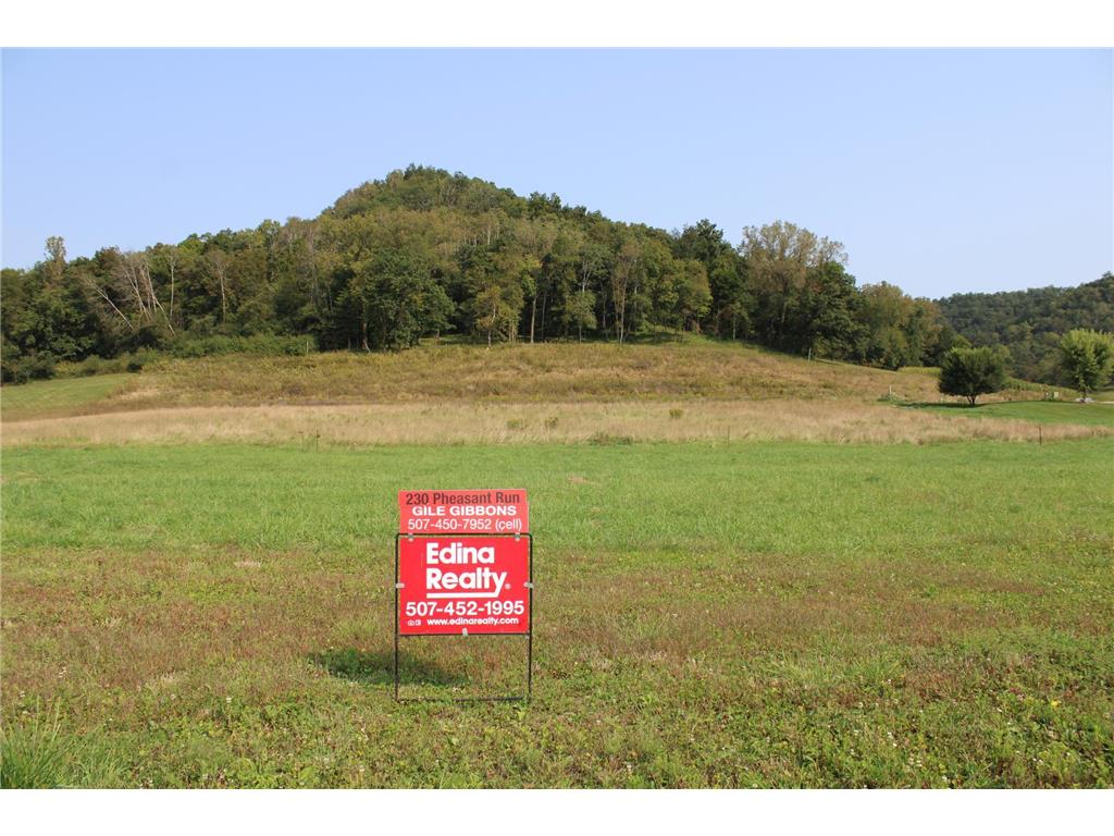 230 Pheasant Run Rollingstone MN 55969 6574844 image12