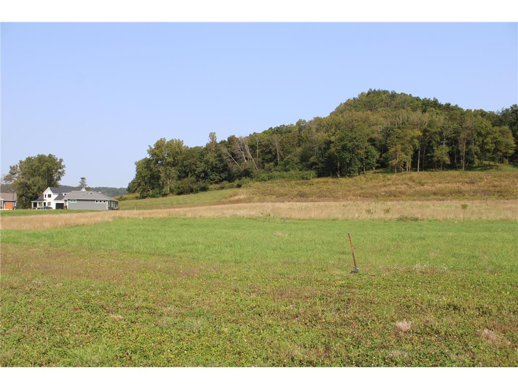 230 Pheasant Run Rollingstone MN 55969 6574844 image13