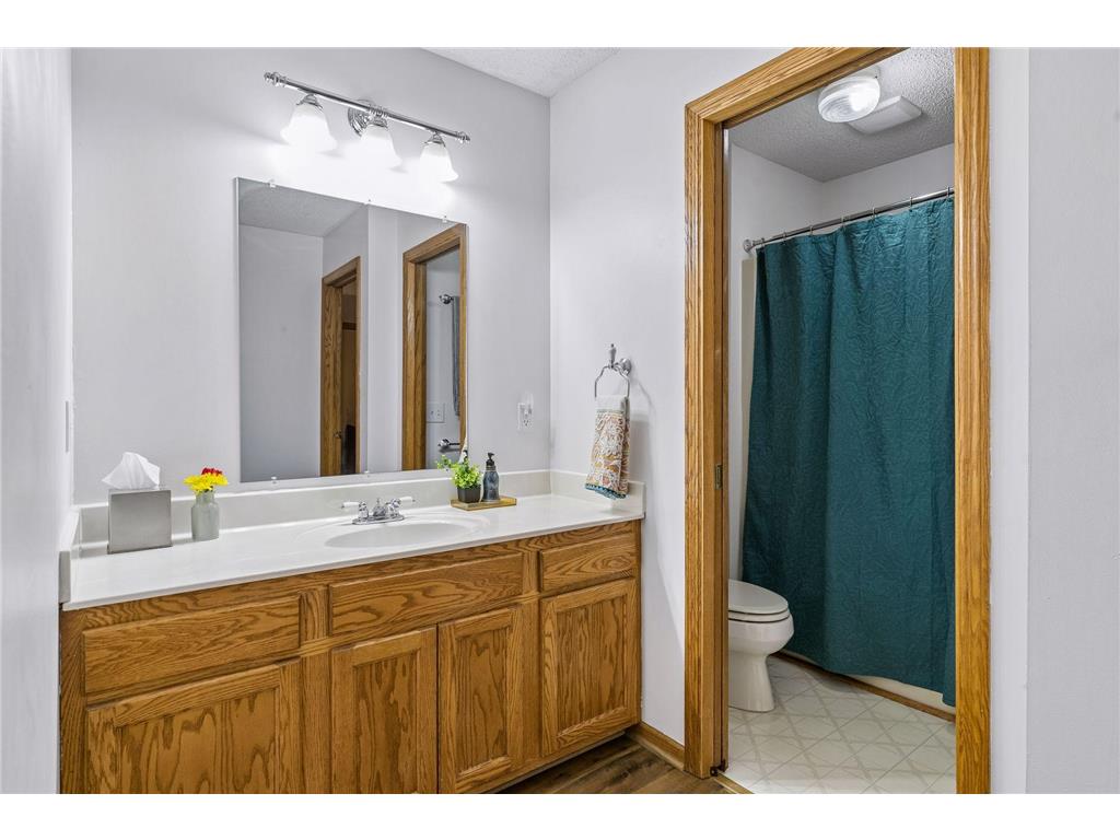 230 Plainview Drive River Falls WI 54022 6821632 image25