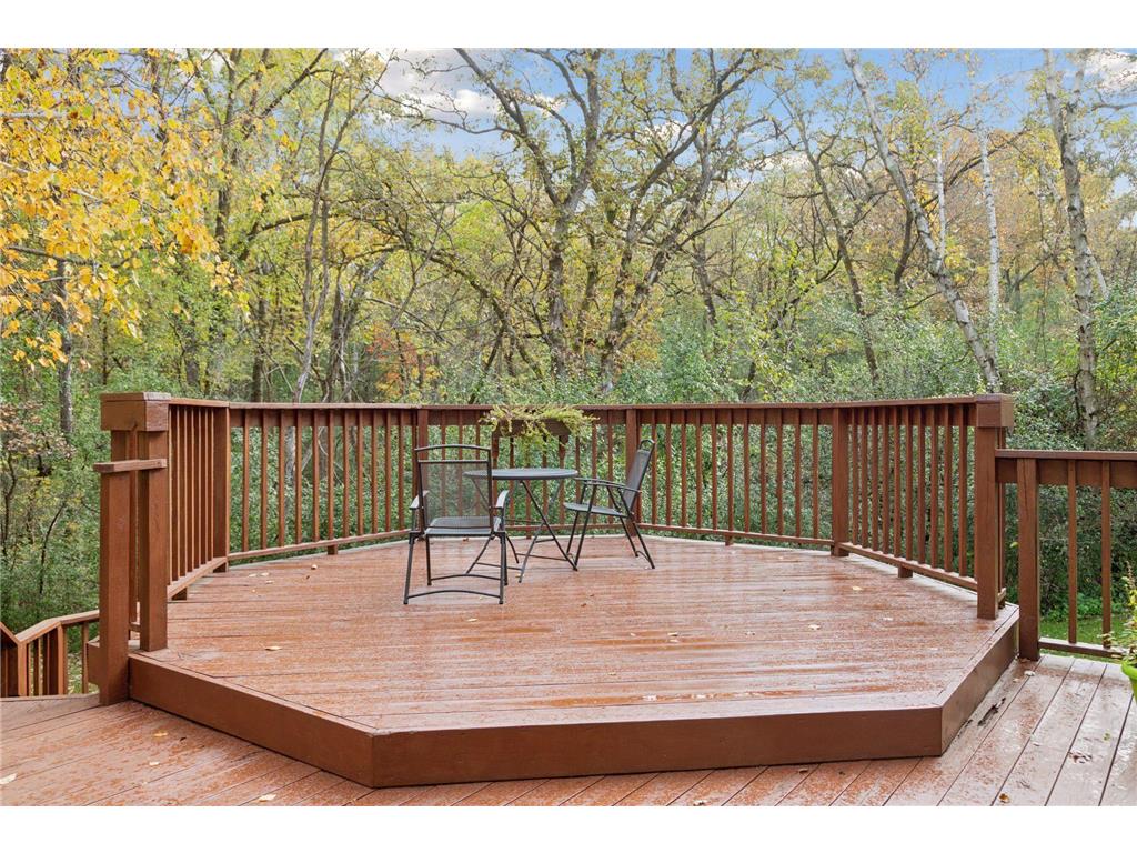 230 Plainview Drive River Falls WI 54022 6821632 image37