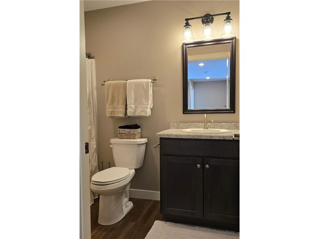 230 Shedhorn Street SW Bemidji MN 56601 7024788 image24