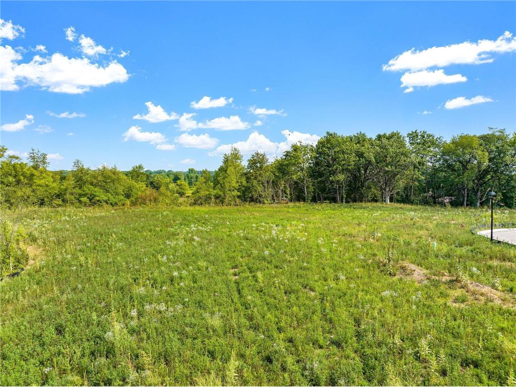 2300 136th Court W Rosemount MN 55068 7021342 image3