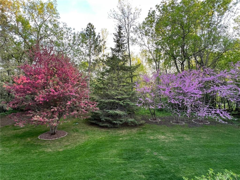 2300 Longview Circle Orono MN 55356 7064109 image35