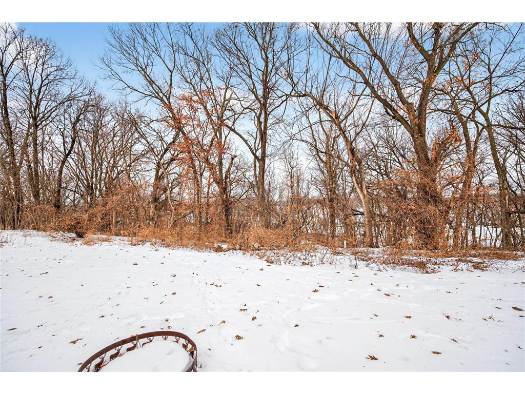 23000 Heather Ridge Drive Rogers MN 55374 - Crow River 7065364 image68
