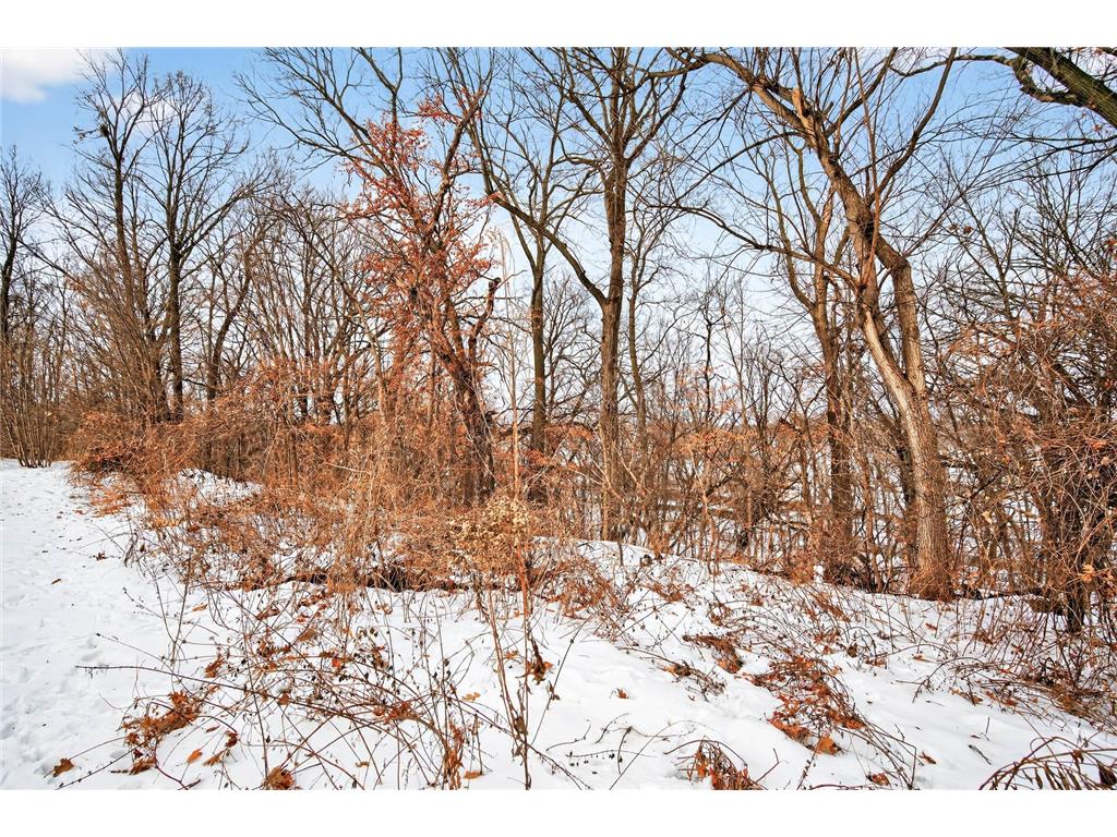 23000 Heather Ridge Drive Rogers MN 55374 - Crow River 7065364 image69