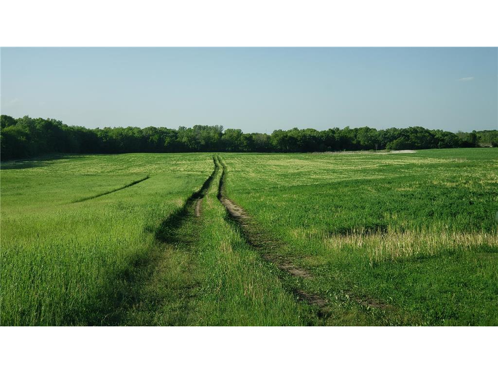 23000 Larsen Road Corcoran MN 55340 6552817 image1