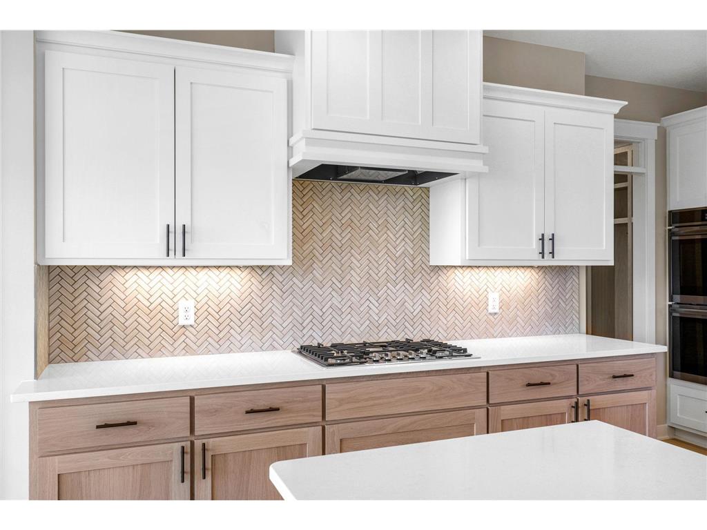 2301 136th Court W Rosemount MN 55068 6757527 image8