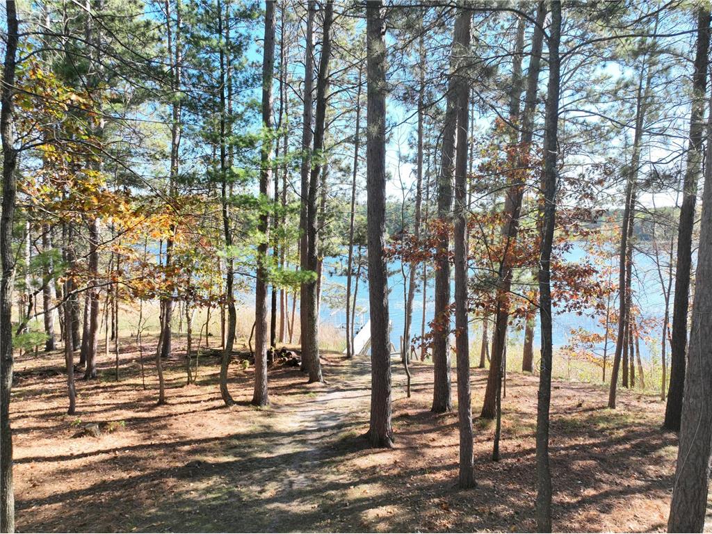 23020 Glenhaven Drive Nevis MN 56467 - Spider Lake 7055081 image10