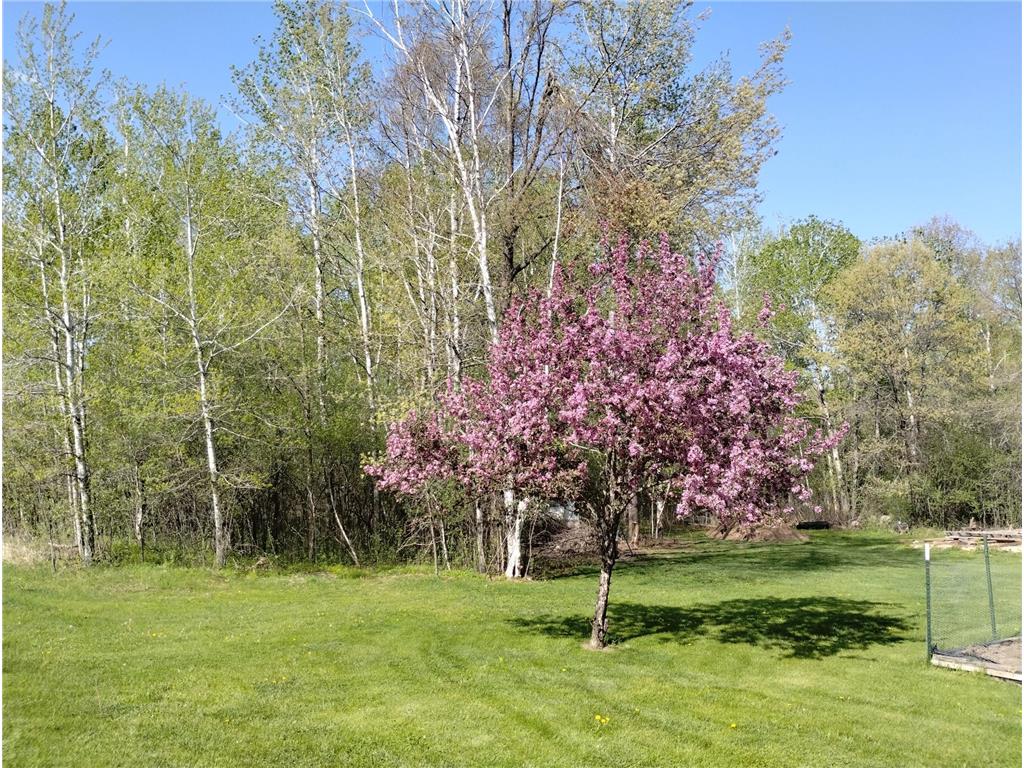 2303 230th Avenue Whited Twp MN 55051 7076009 image10