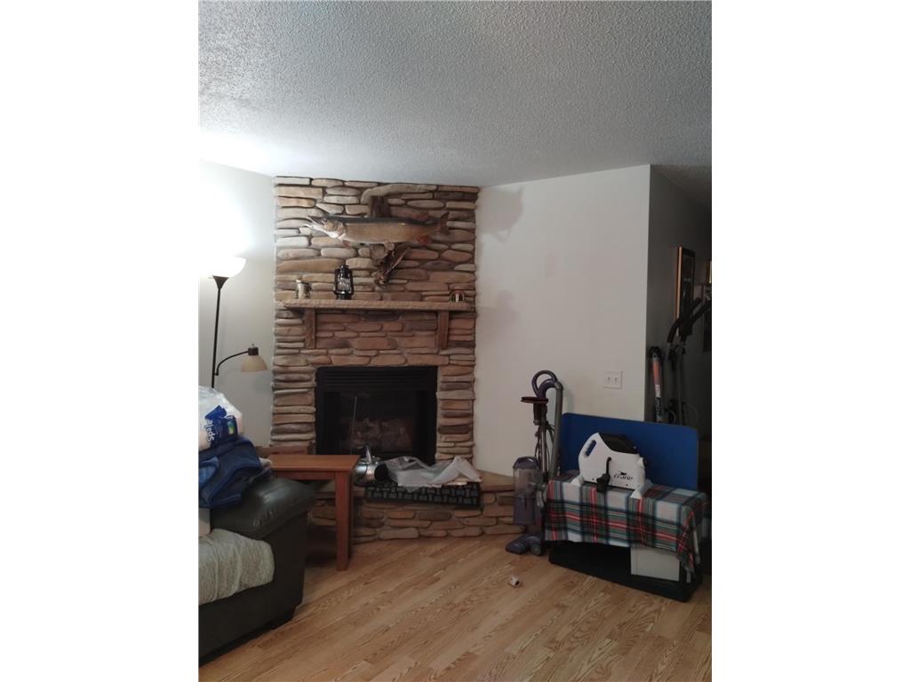 2303 230th Avenue Whited Twp MN 55051 7076009 image20