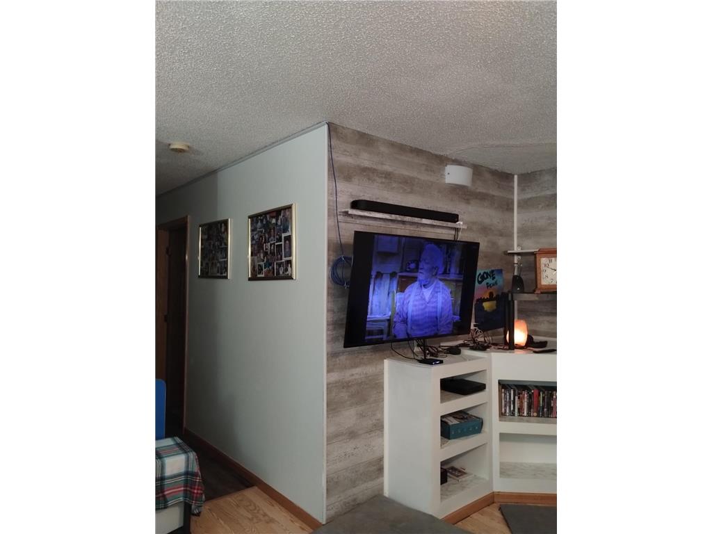 2303 230th Avenue Whited Twp MN 55051 7076009 image23