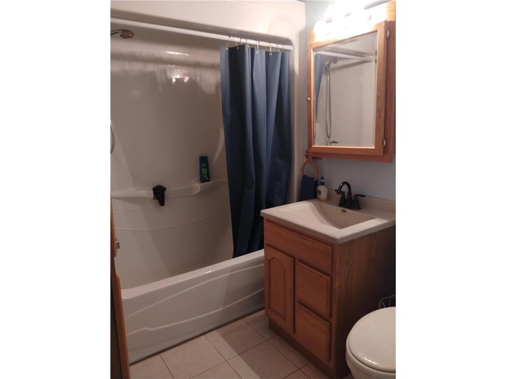 2303 230th Avenue Whited Twp MN 55051 7076009 image31