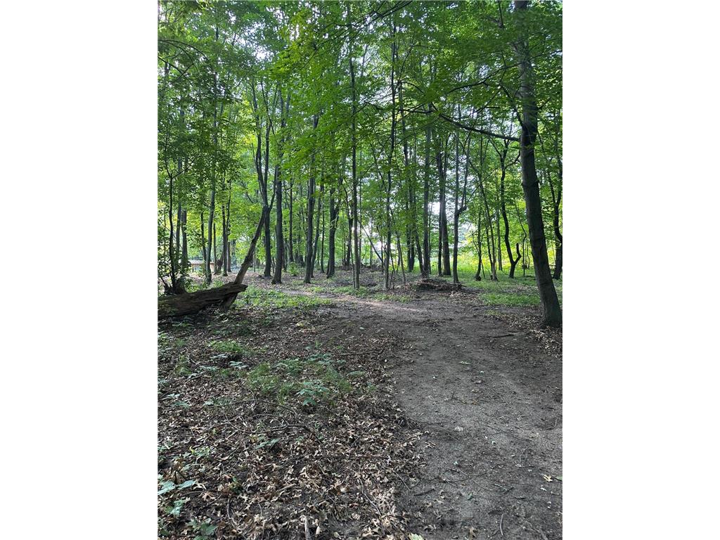 23040 Packard Street NE East Bethel MN 55005 6772189 image27