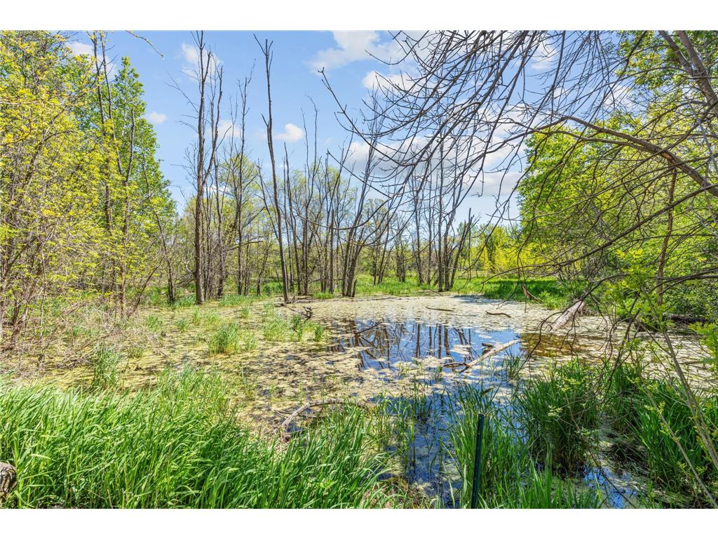 2306 Iverson Court Lino Lakes MN 55038 7050873 image58