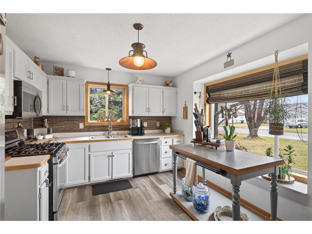 23066 Jivaro Street NW Saint Francis MN 55070 7044989 image4