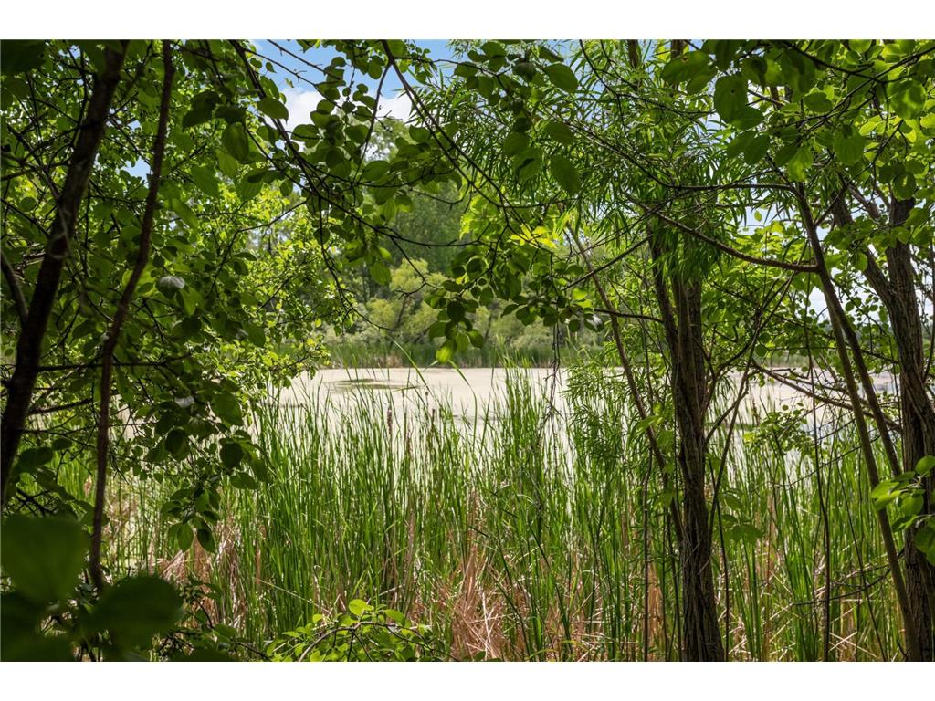 2307 Grange Avenue N Oakdale MN 55128 7085439 image27