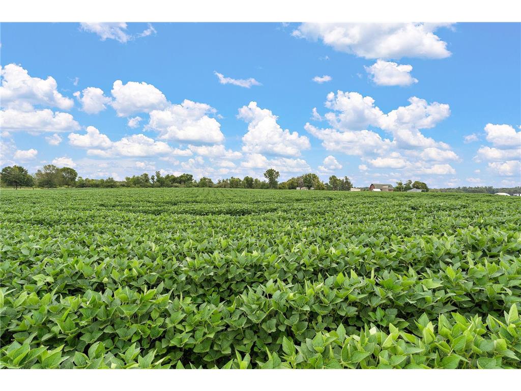 2312 Becker Trail Faribault MN 55021 6768403 image55