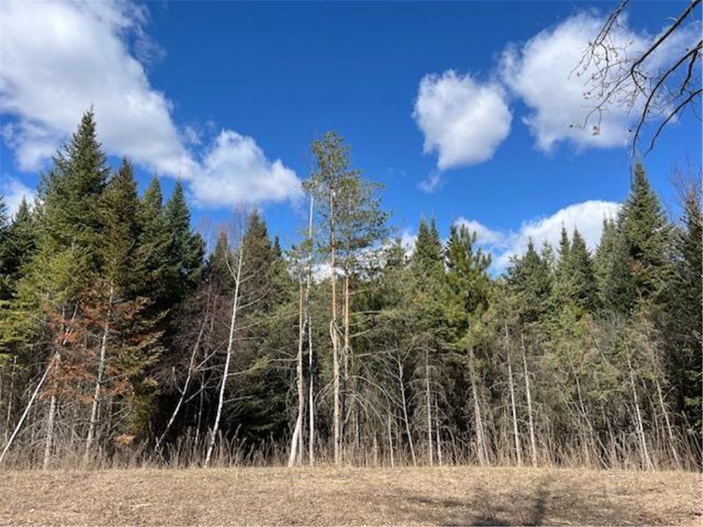 23122 Sunrise Road NE Linwood Twp MN 55079 6543934 image1