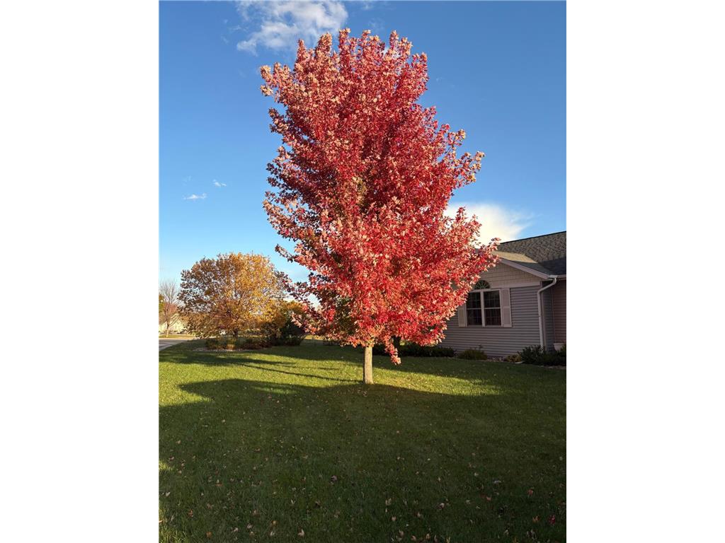 2317 Hillcrest Lane Hawley MN 56549 7048524 image61