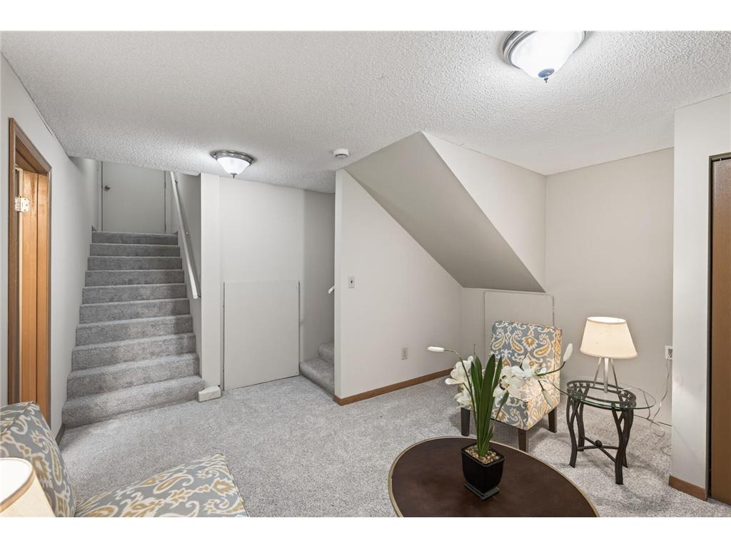 2317 Montana Avenue E Maplewood MN 55119 7051883 image23