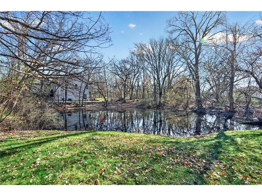 2317 Montana Avenue E Maplewood MN 55119 7051883 image27
