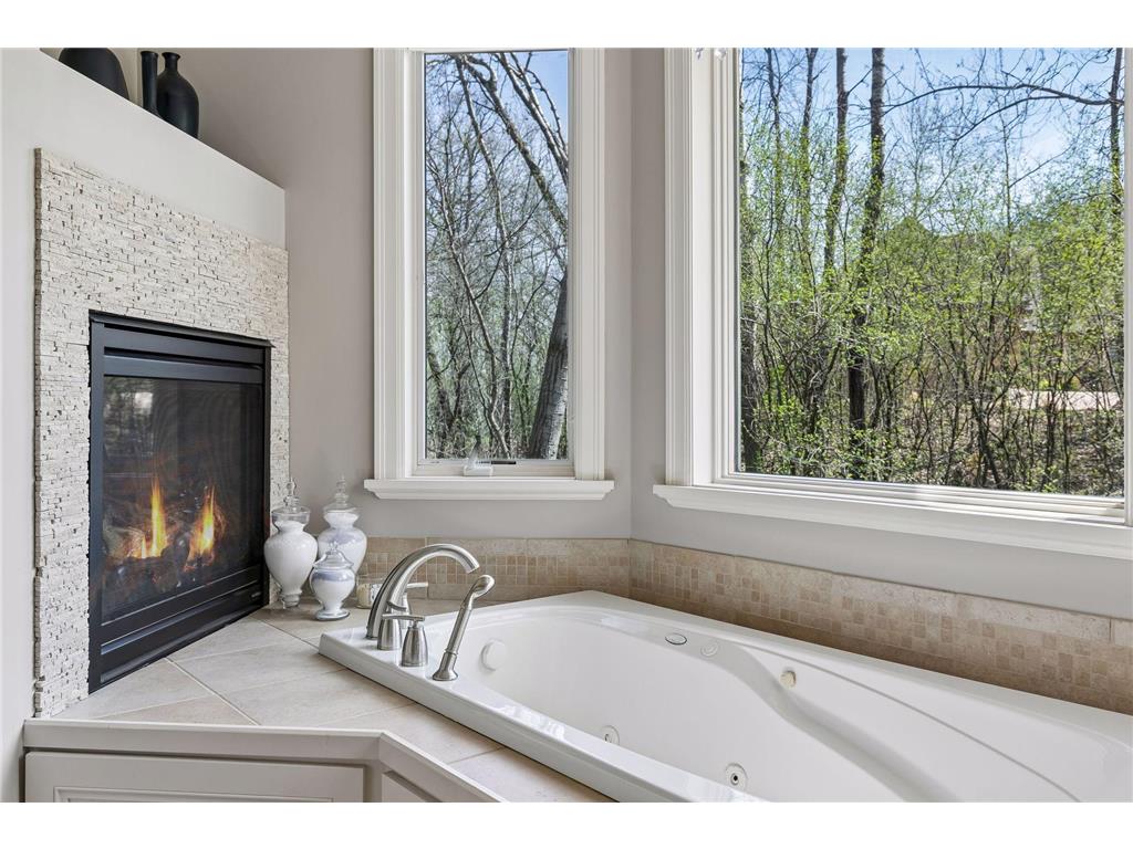 23171 Woodland Ridge Drive Lakeville MN 55044 7060348 image27
