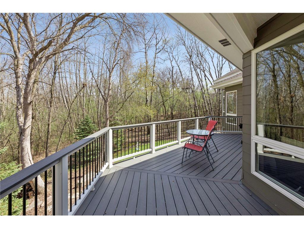 23171 Woodland Ridge Drive Lakeville MN 55044 7060348 image54