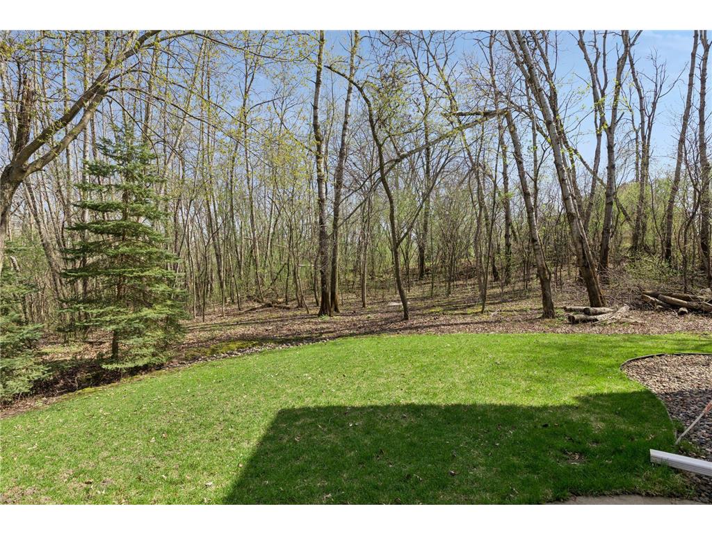 23171 Woodland Ridge Drive Lakeville MN 55044 7060348 image56