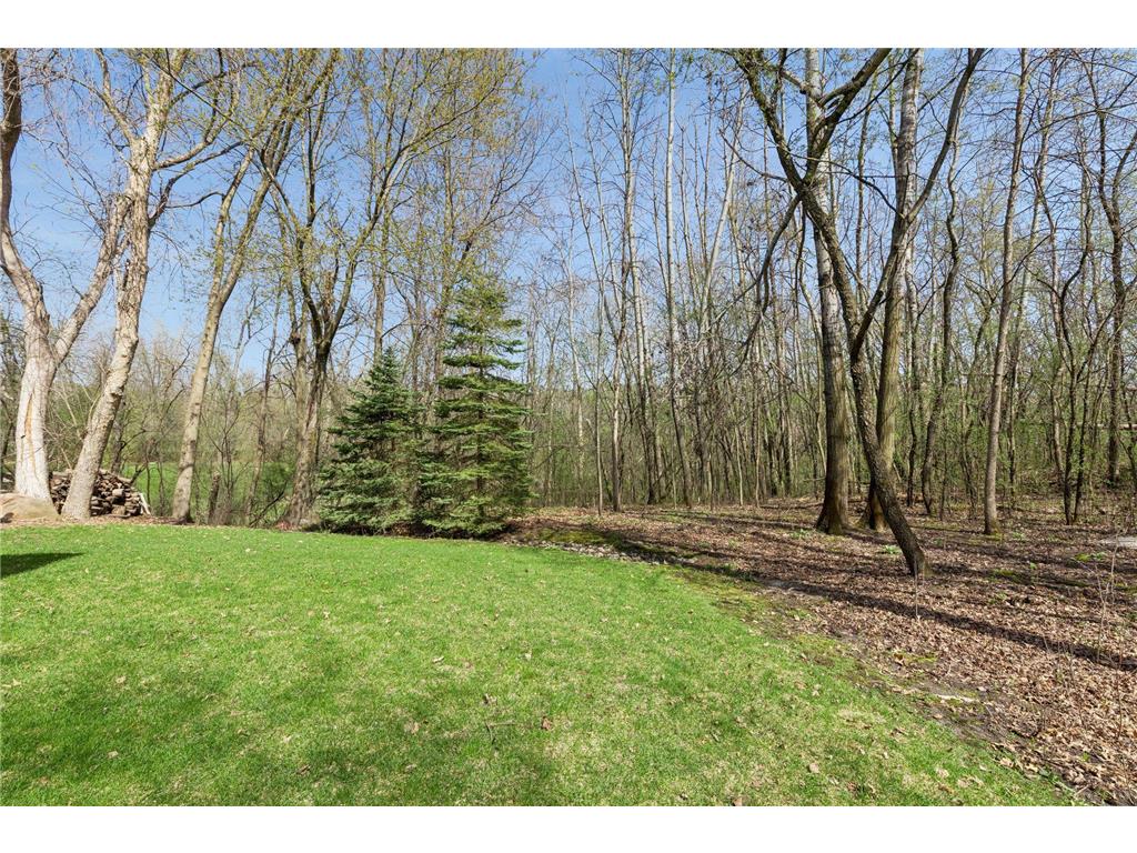 23171 Woodland Ridge Drive Lakeville MN 55044 7060348 image57