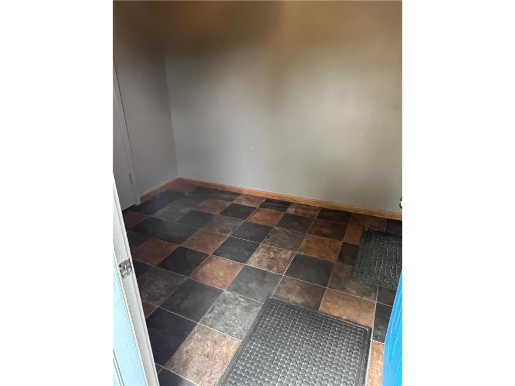 2319 Cottonwood Lake Drive Windom MN 56101 - Cottonwood 6782109 image22