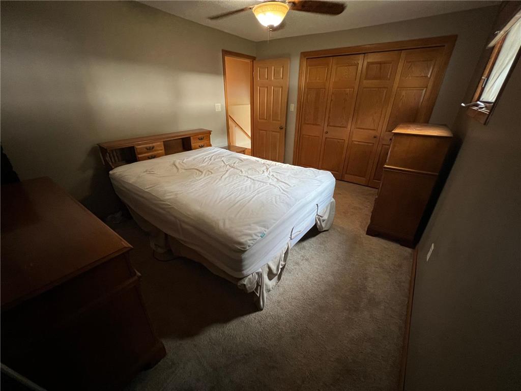 2319 Cottonwood Lake Drive Windom MN 56101 - Cottonwood 6782109 image28