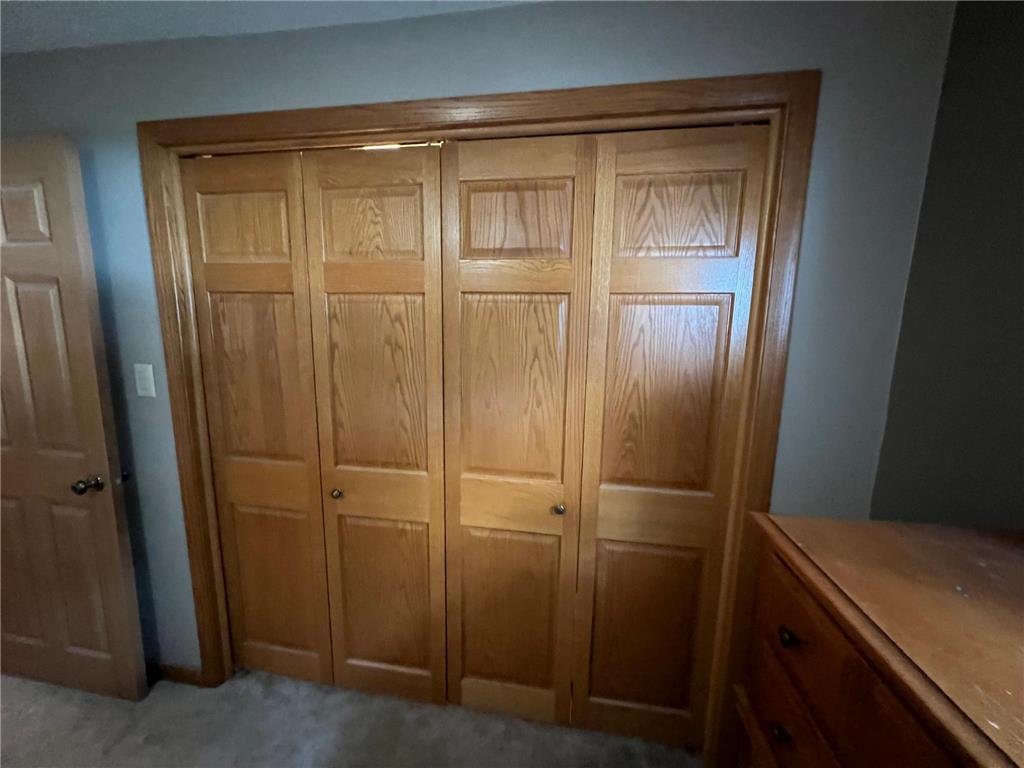 2319 Cottonwood Lake Drive Windom MN 56101 - Cottonwood 6782109 image29