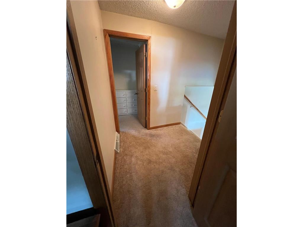 2319 Cottonwood Lake Drive Windom MN 56101 - Cottonwood 6782109 image30