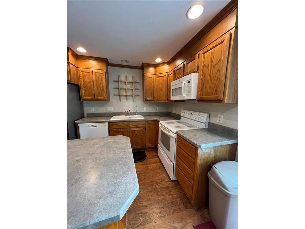 2319 Cottonwood Lake Drive Windom MN 56101 - Cottonwood 6782109 image9