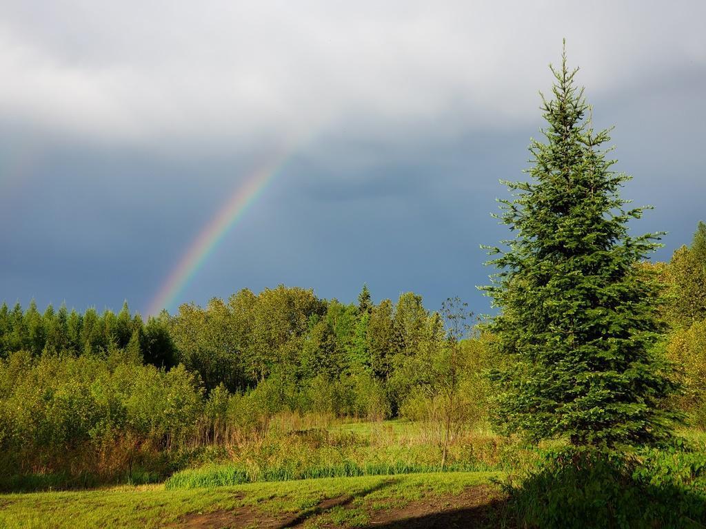 232 Scenic Estates Drive Bigfork MN 56628 7040990 image31