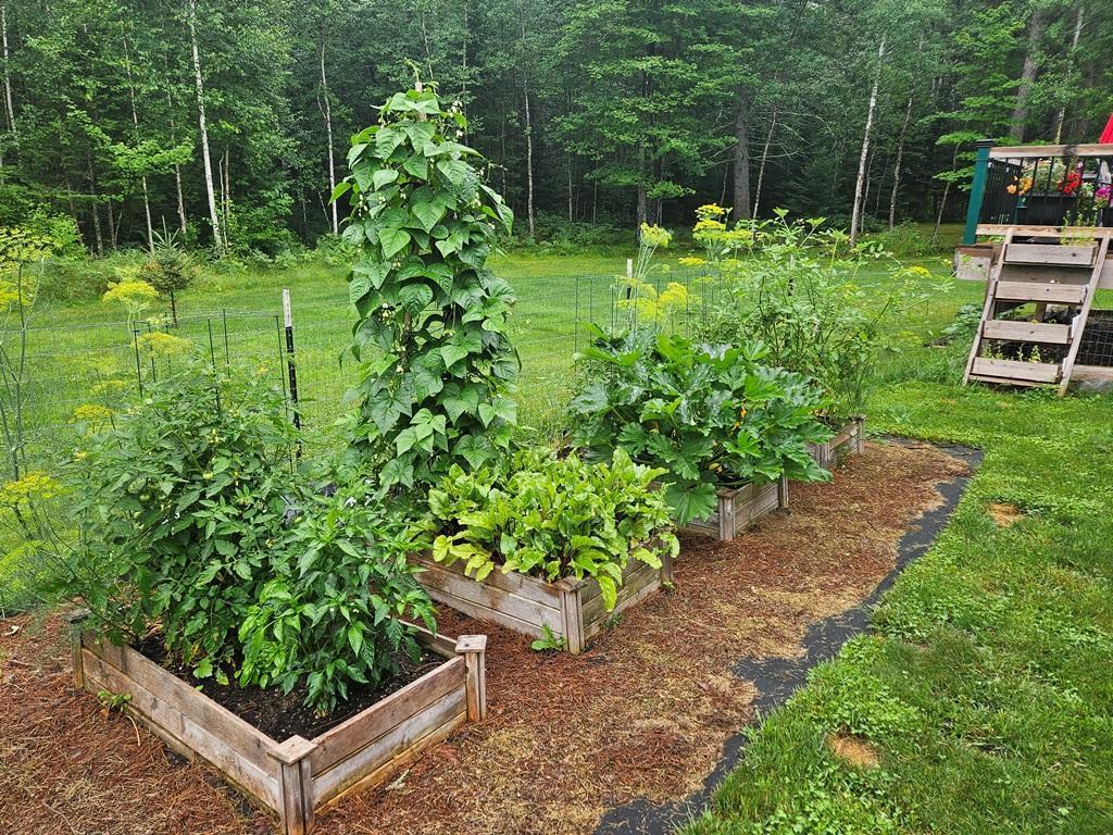 232 Scenic Estates Drive Bigfork MN 56628 7040990 image32