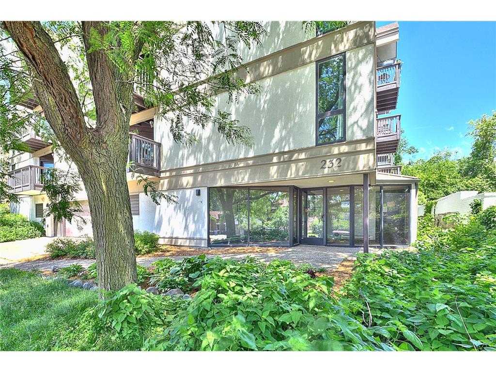 232 W Franklin Avenue #307 Minneapolis MN 55404 6552286 image1