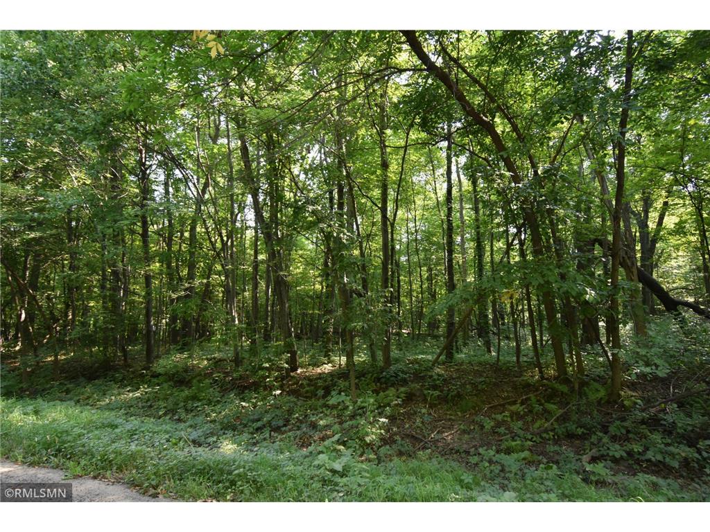 2323 55th Street, Somerset Twp, WI, 54025 MLS 6258461 Edina Realty