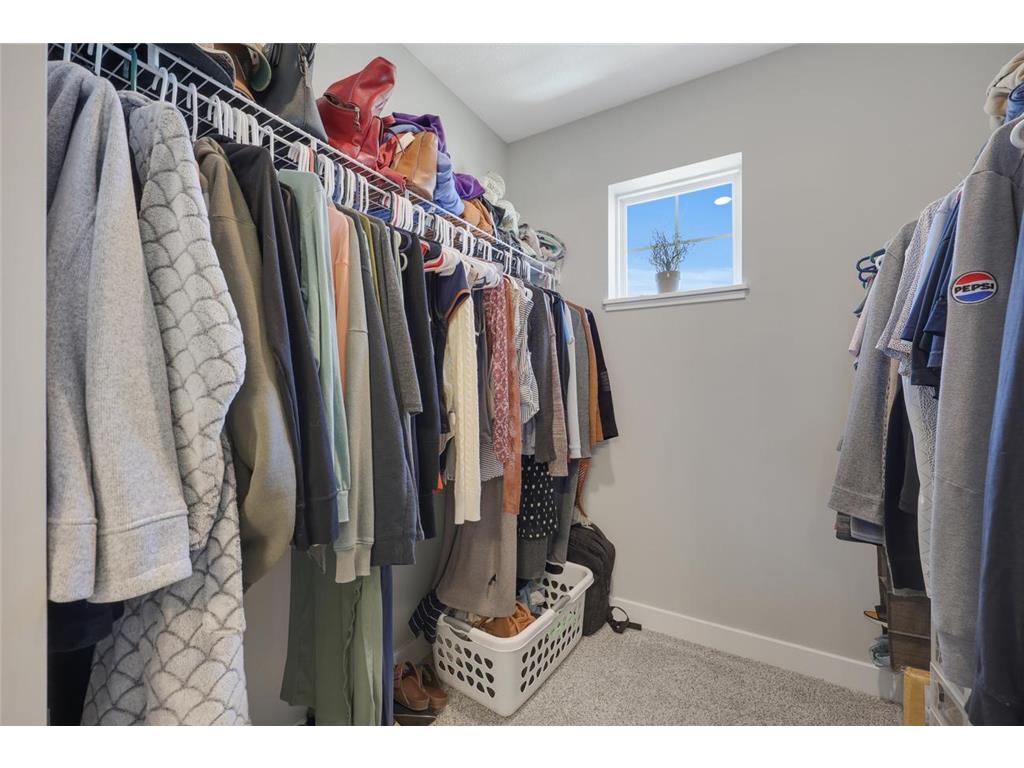23261 Ashbury Drive Rogers MN 55374 7074723 image19